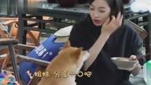 娱乐吃瓜酱的视频哪里搬,揭秘热门视频幕后制作过程